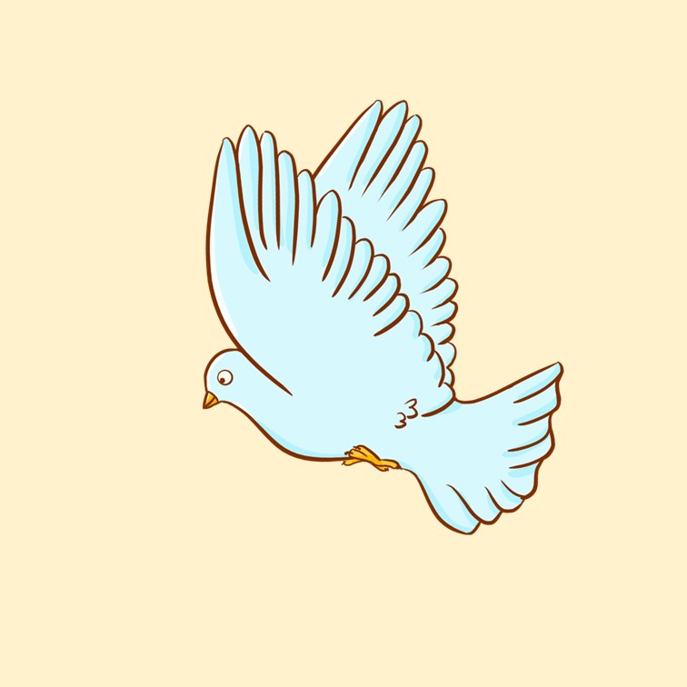 和平之鸽