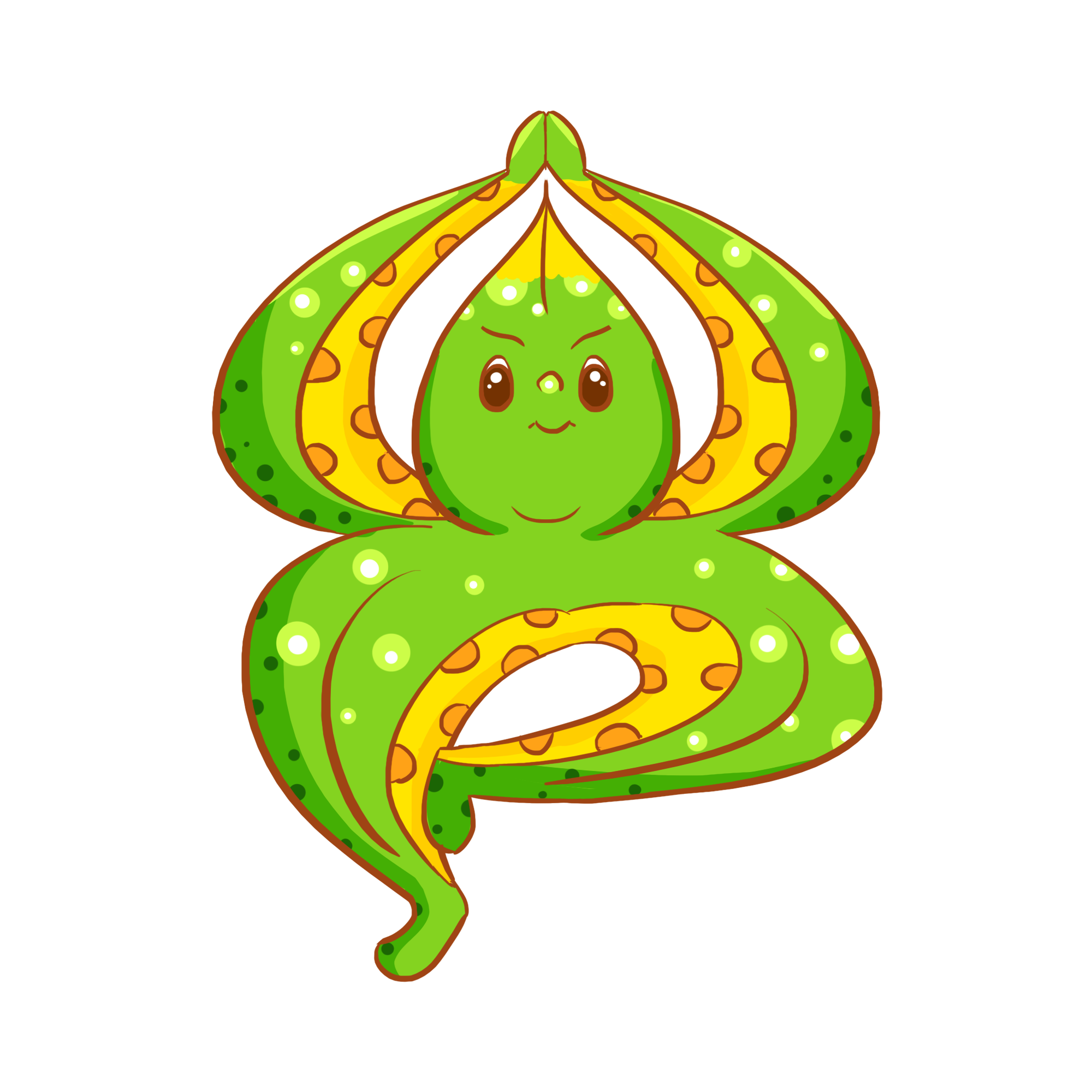 海星